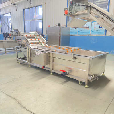 Industrial Commercial Fruit and Vegetable Bubble Washing Cleaning ...